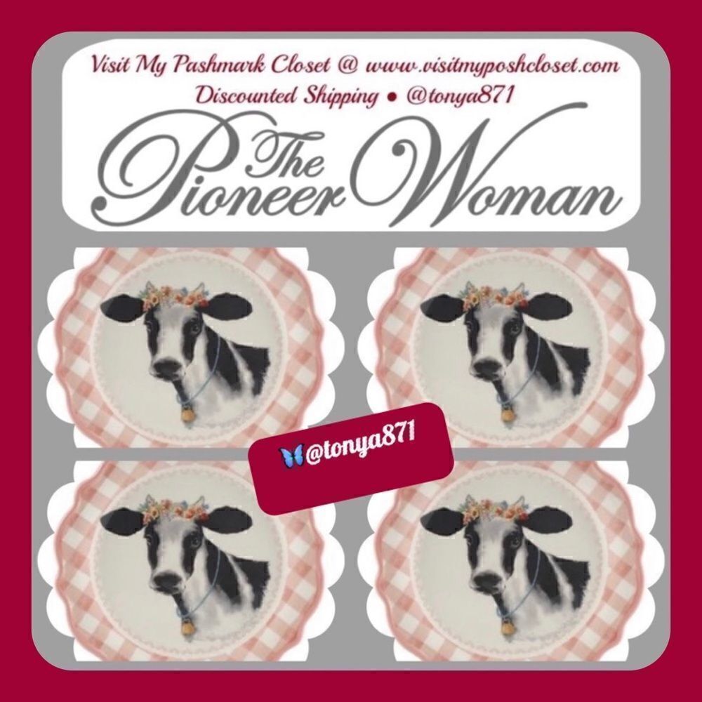 🦋 New Pioneer Woman Novelty Cow Appetizers 7"d Pink Gingham Plates, Set of 4